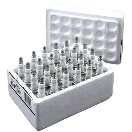 Champion, spark plugs. RN12YC Item No: 508662
