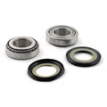 All Balls, frame neck bearing, race & seal kit Item No: 530500