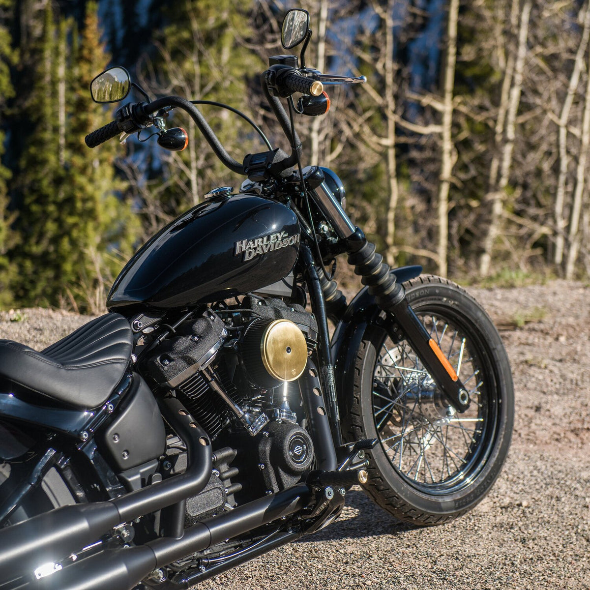 Arlen Ness Air Trax-greb til e-gas – messing