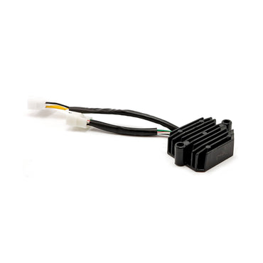 Rick's lithium-ion-kompatibel ensretter/regulator
