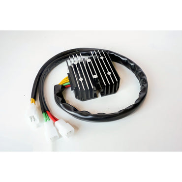 Rick's lithium-ion-kompatibel ensretter/regulator