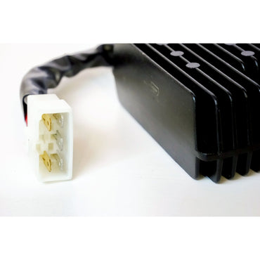 Rick's lithium-ion-kompatibel ensretter/regulator