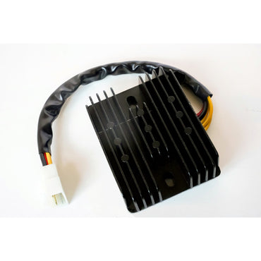 Rick's lithium-ion-kompatibel ensretter/regulator