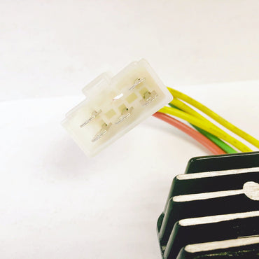 Rick's ensretter-regulator kompatibel med lithium-ion-batteri