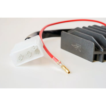 Rick's lithium-ion-kompatibel ensretter/regulator
