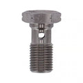 Goodridge banjo bolt, m10 x 1.00, ss Item No: 920839