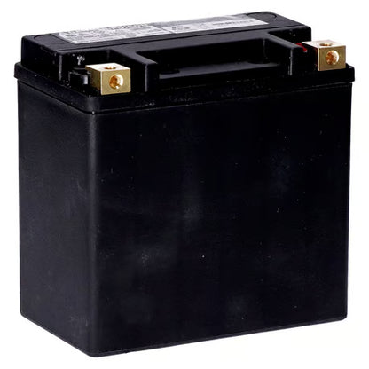 MCS Standard Series AGM Batteri – 12V 14Ah 240CCA