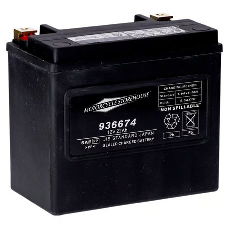 MCS, standard series - AGM sealed battery. 12V, 22Ah. 325CCA Item No: 936674