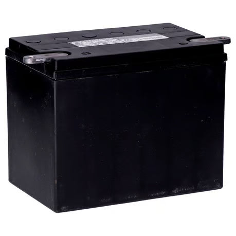 MCS, standard series - AGM sealed battery. 12v, 30ah. 370cca Item No: 936677