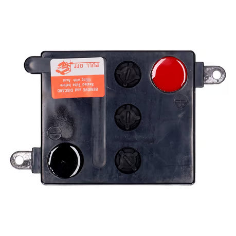 MCS, battery. 6v, 22ah Item No: 936679