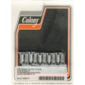 Colony, front brake rotor bolt kit. Chrome Item No: 989931