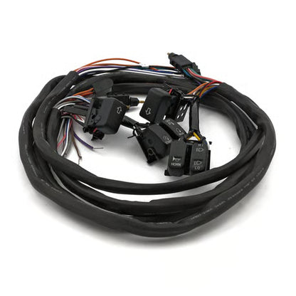 Handlebar switch & wiring kit. Cruise. LED. Black